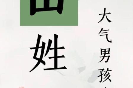 2019年4月23号卯时出生的男孩应该起什么样的名字姓名