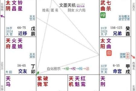 紫薇斗数变动的意思
