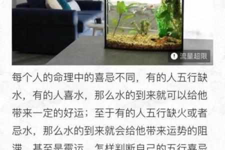鱼缸里随便养几条鱼就算是风水鱼吗？
