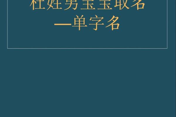 杜姓男孩名字大全-杜姓男孩起名字大全-杜姓名字大全姓名