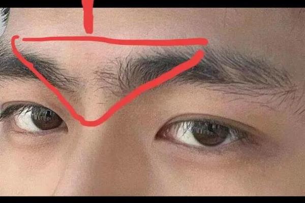 连心眉面相算命图解