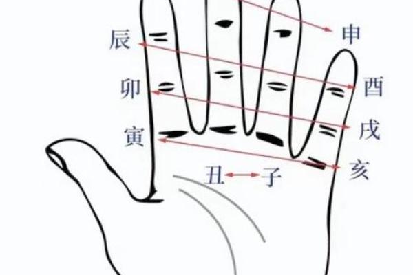 八字木多