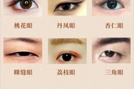连心眉面相算命图解
