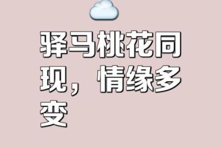八字中什么桃花魅力最大呢
