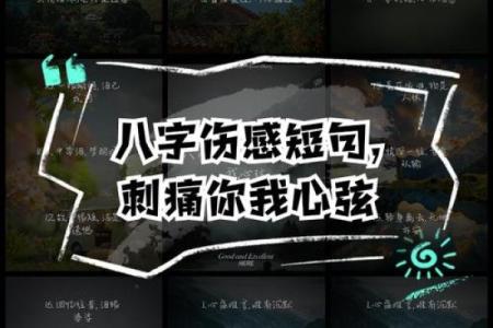 伤感八字短句