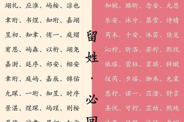 怎样来给属猪亥时出生的男孩起名姓名