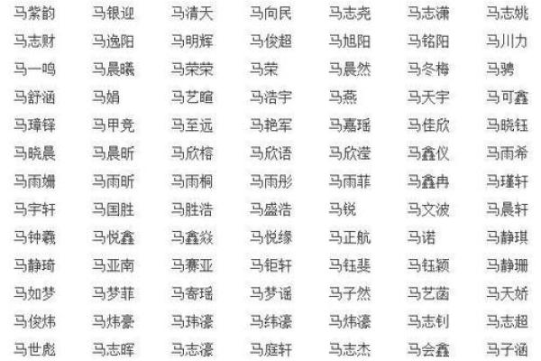 马姓男孩名字大全-马姓男孩起名字大全-马姓名字大全姓名