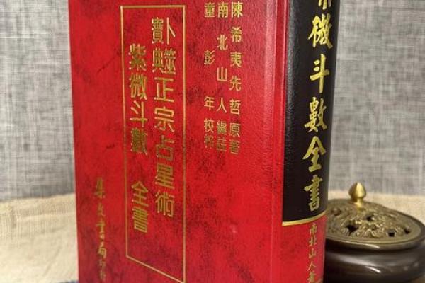 紫薇斗数进阶书