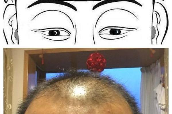 骨相好的特征 骨相算命的特点分析