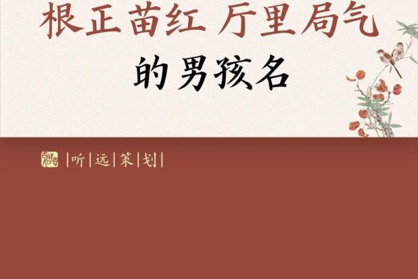 苗姓女孩名字大全-苗姓女孩起名字大全-苗姓名字大全姓名