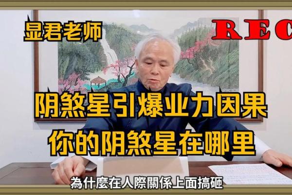 阴狠紫微斗数 紫微斗数的阴煞什么意思？