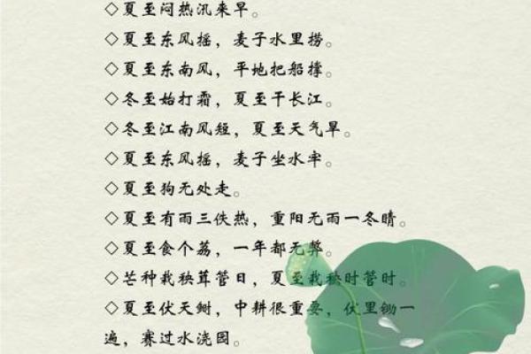 2021年夏至出生的五行属什么,夏至节气出生的宝宝名字精选姓名