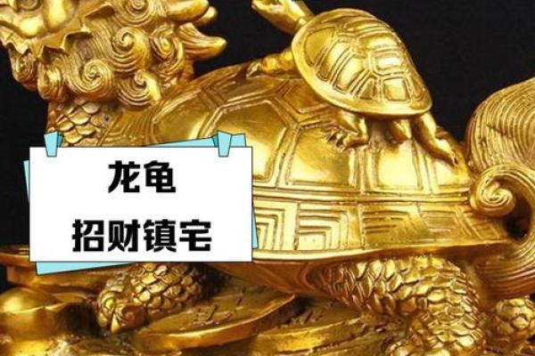 家中风水龙龟的摆放方法及禁忌