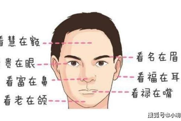 耳朵面相算命