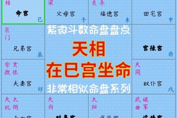 紫薇斗数二胎看哪个宫位