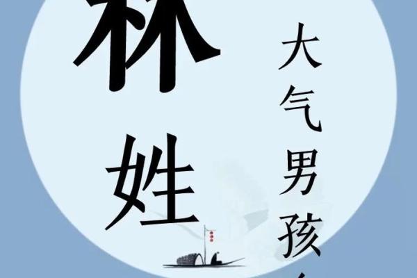 林姓男孩名字大全-林姓男孩起名字大全-林姓名字大全姓名