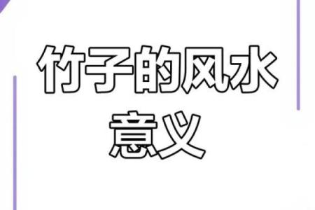竹竿的风水