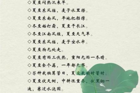 2021年夏至出生的五行属什么,夏至节气出生的宝宝名字精选姓名