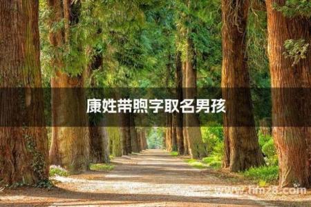 2019年4月26号丑时出生的男孩起名方法姓名
