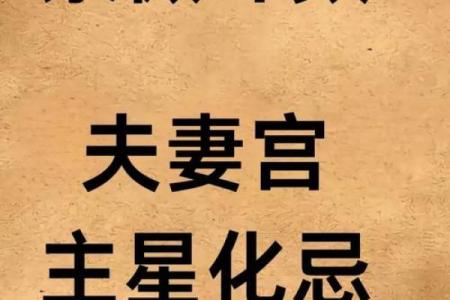 紫薇斗数看豪宅
