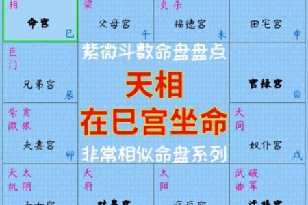 紫薇斗数二胎看哪个宫位