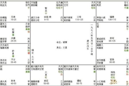 紫薇斗数的命盘如何抑