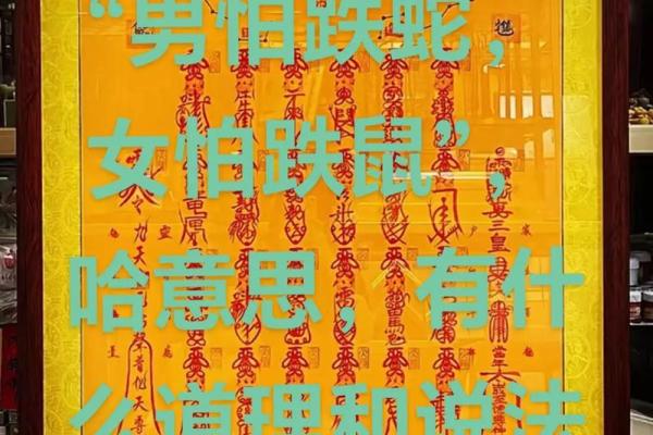 八字道教