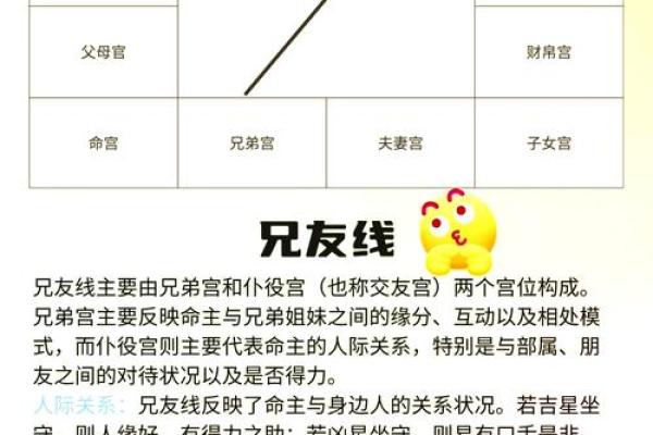 如何看自己的紫薇斗数