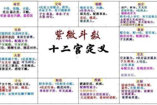 紫薇斗数疾厄宫看财富