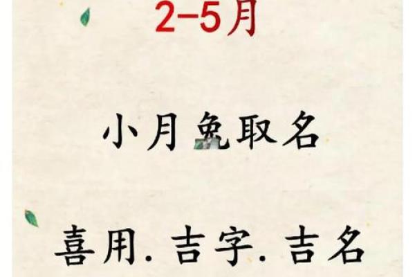 4月份出生的属兔男孩怎样取名字好姓名
