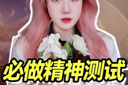 神巴巴紫薇斗数下载