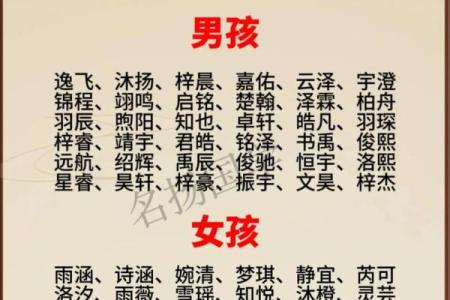 2019年6月9号丑时出生的男孩要怎么起名字姓名