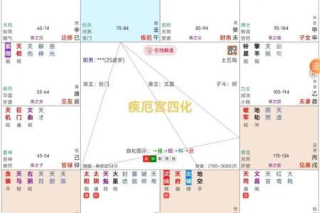 紫微斗数诸星落诸宫之，紫微星：阴土疾厄宫详解