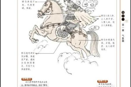 命带驿马星的八字命理特征