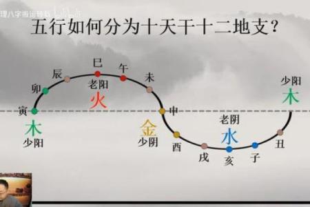 八字入门视频讲座