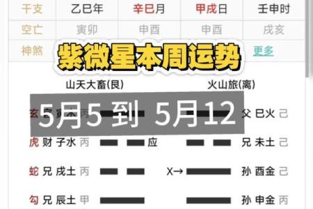紫薇斗数流月运势