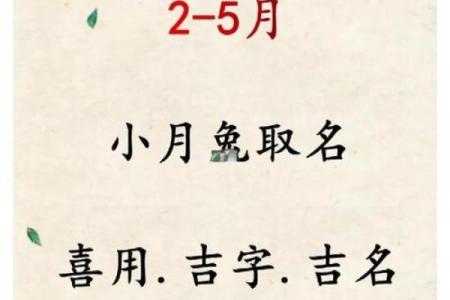 4月份出生的属兔男孩怎样取名字好姓名