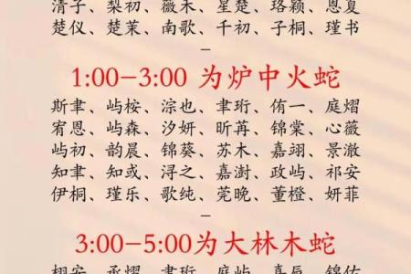 2019年4月21号丑时出生的男孩起名方法姓名