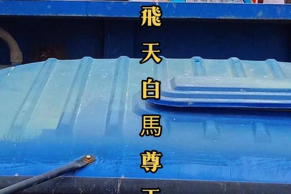 白马尊王灵签29