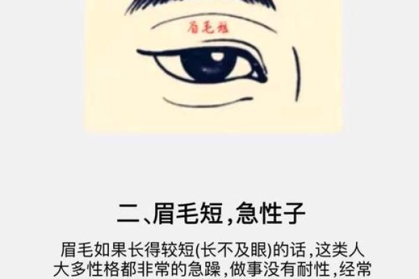 面相为什么断眉是富贵之相风水解答
