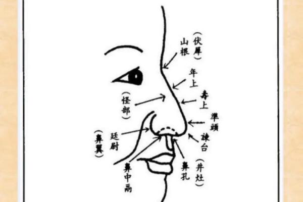风水面相嫁给鹰钩鼻男人的下场会幸福吗