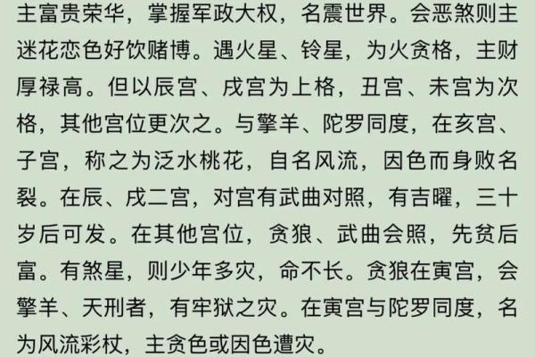 紫微斗数之事业宫与诸星，贪狼星在事业宫是什么意思？