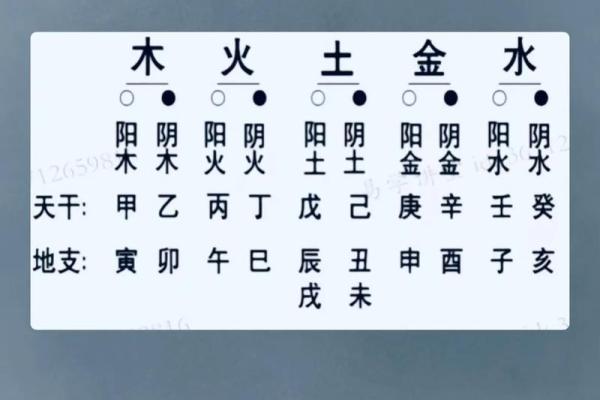 论五行八字