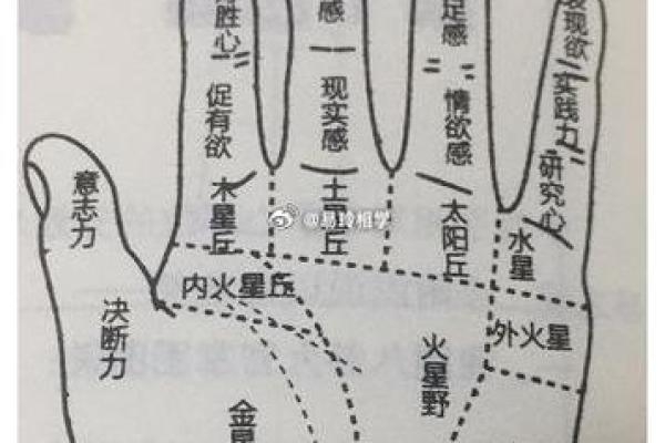 手相-掌丘算命图解