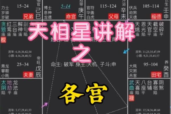 紫薇斗数财帛天相得