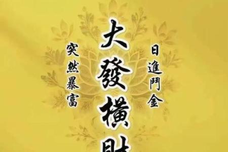 风水口袋放一样东西必定发财指的是什么