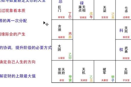 紫微斗数看财力靠自己还是靠别人技法#财富
