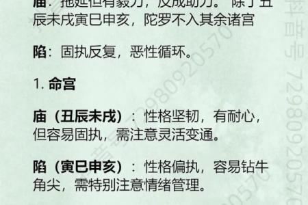 紫微斗数诸星落诸宫之，其它星疾厄宫详解