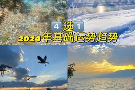 塔罗测试：二月财运如何？