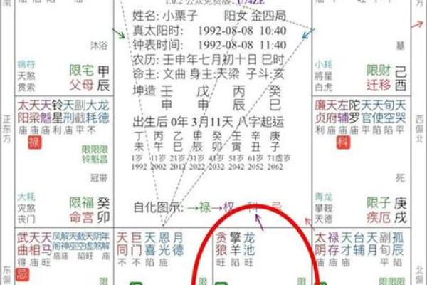 紫薇斗数怎么看有没有孩子